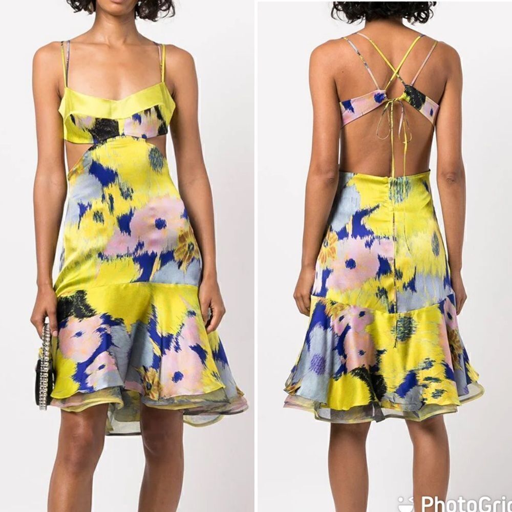 NEW Silvia Tcherassi Analissa Cut Out Silk Abstract Floral Dress Medium